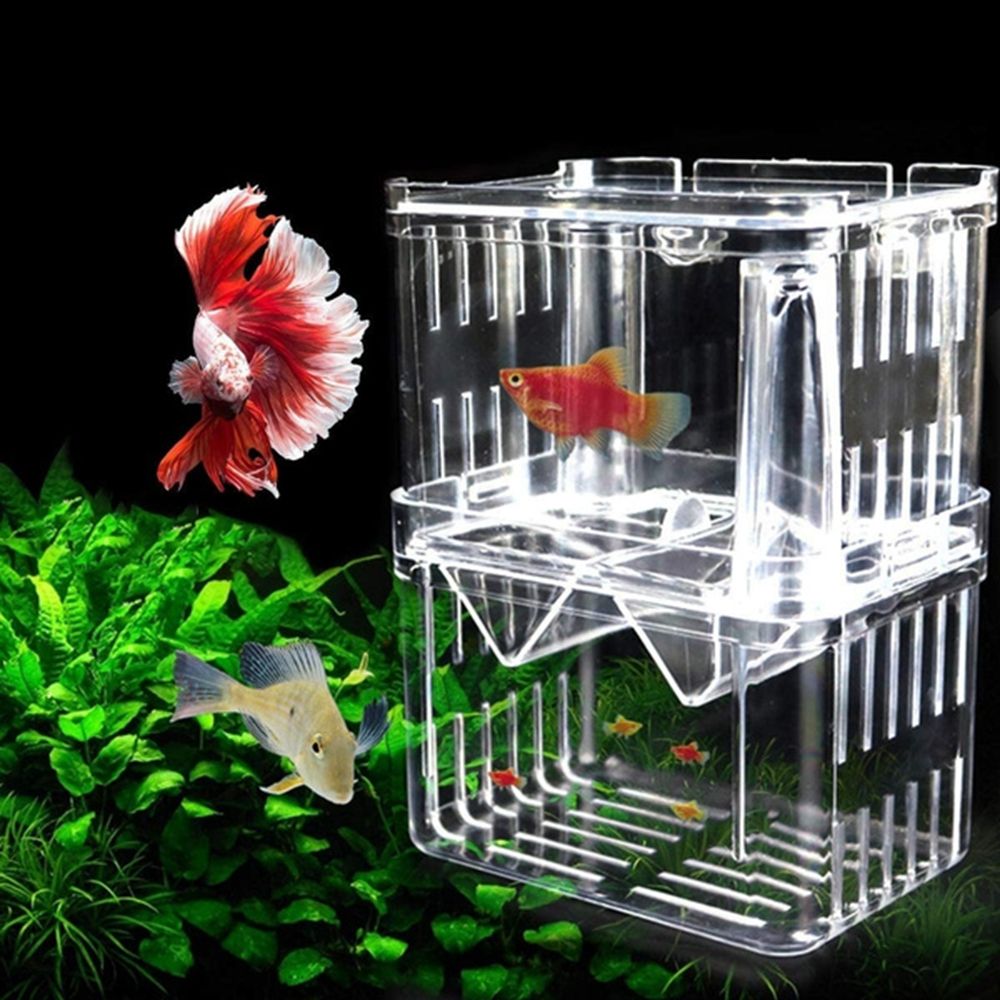 For Baby Fishes Guppy With Suc - Aquarium Fish Reproduction recensie en prijs