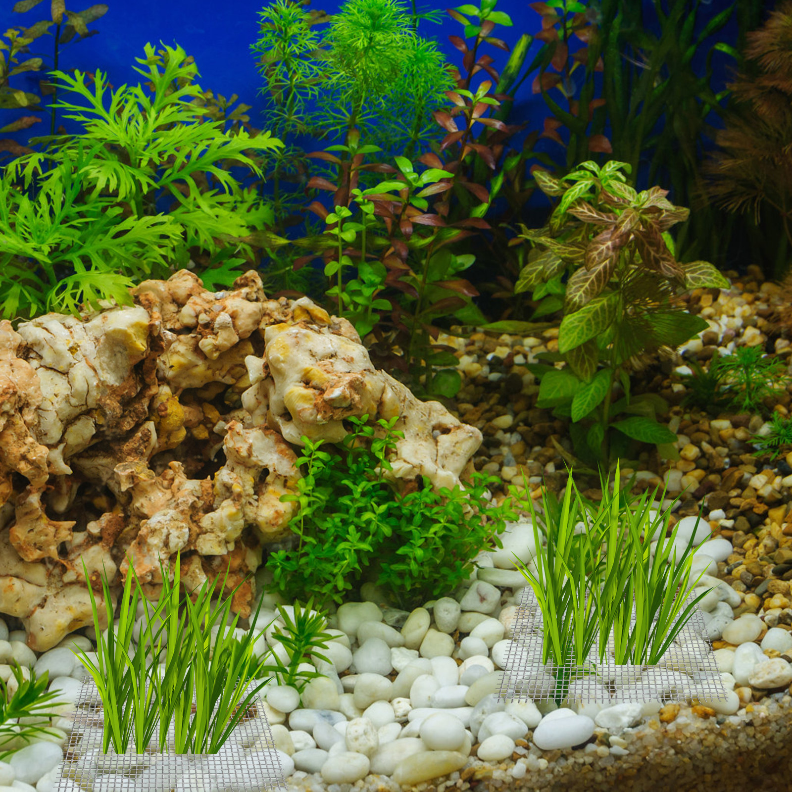 15Pcs Stainless Steel Moss Mes - Aquarium Fish Low Maintenance recensie en prijs