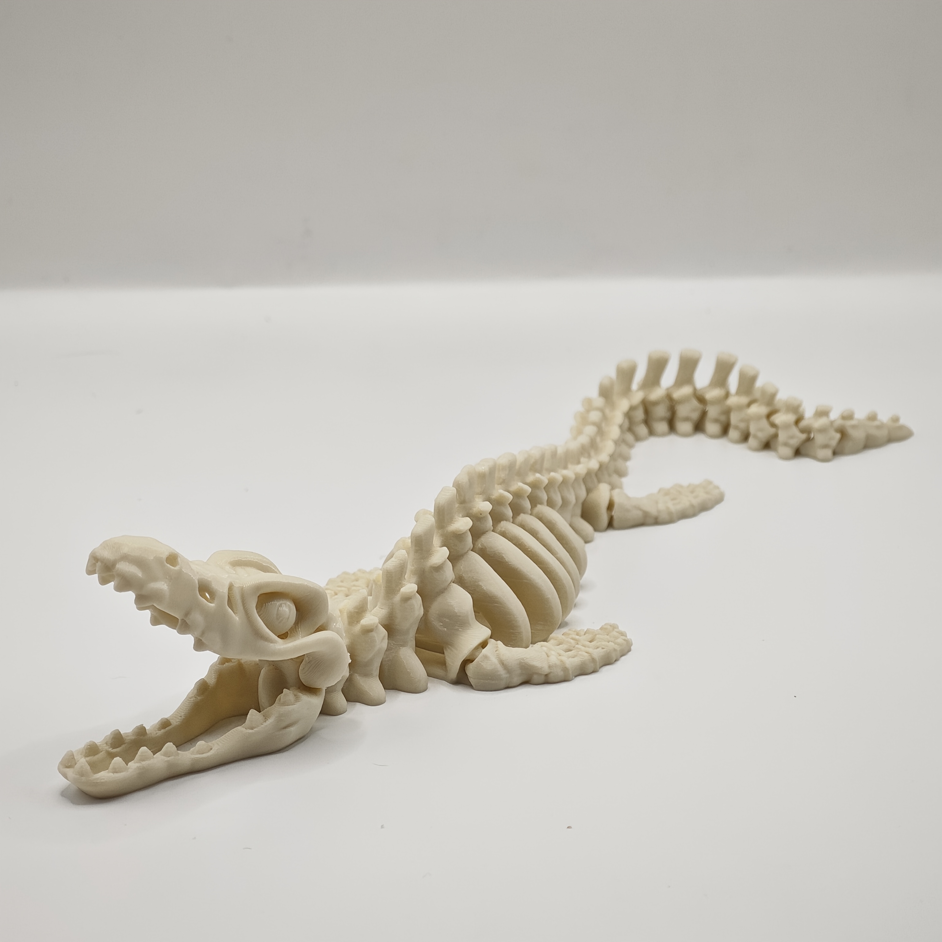 Realistic Canglong Skeleton Re - Aquarium Fish Reproduction recensie en prijs