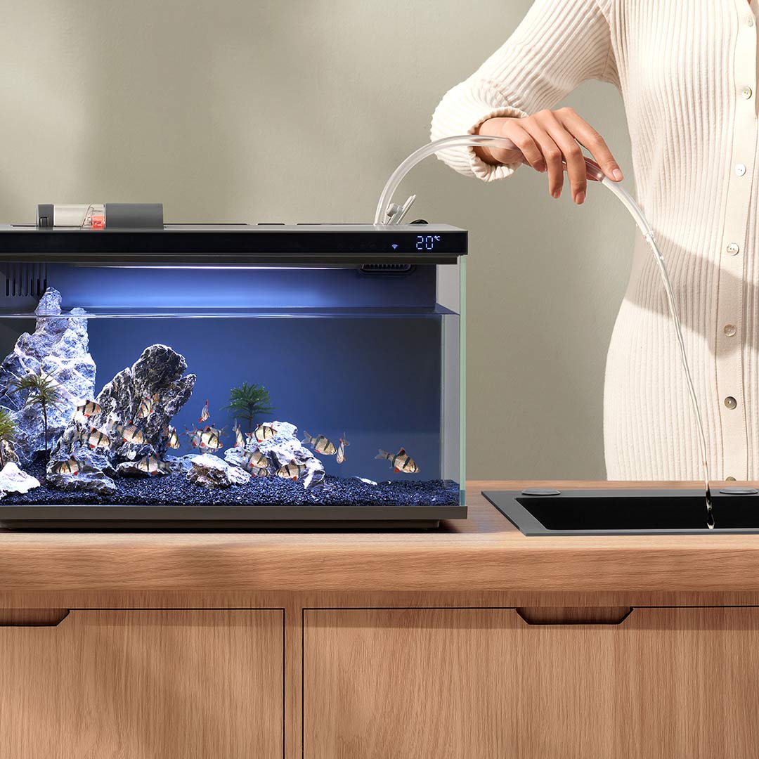 Xiaomi Mijia Smart Fish Tank M - Aquarium Xiaomi recensie en prijs
