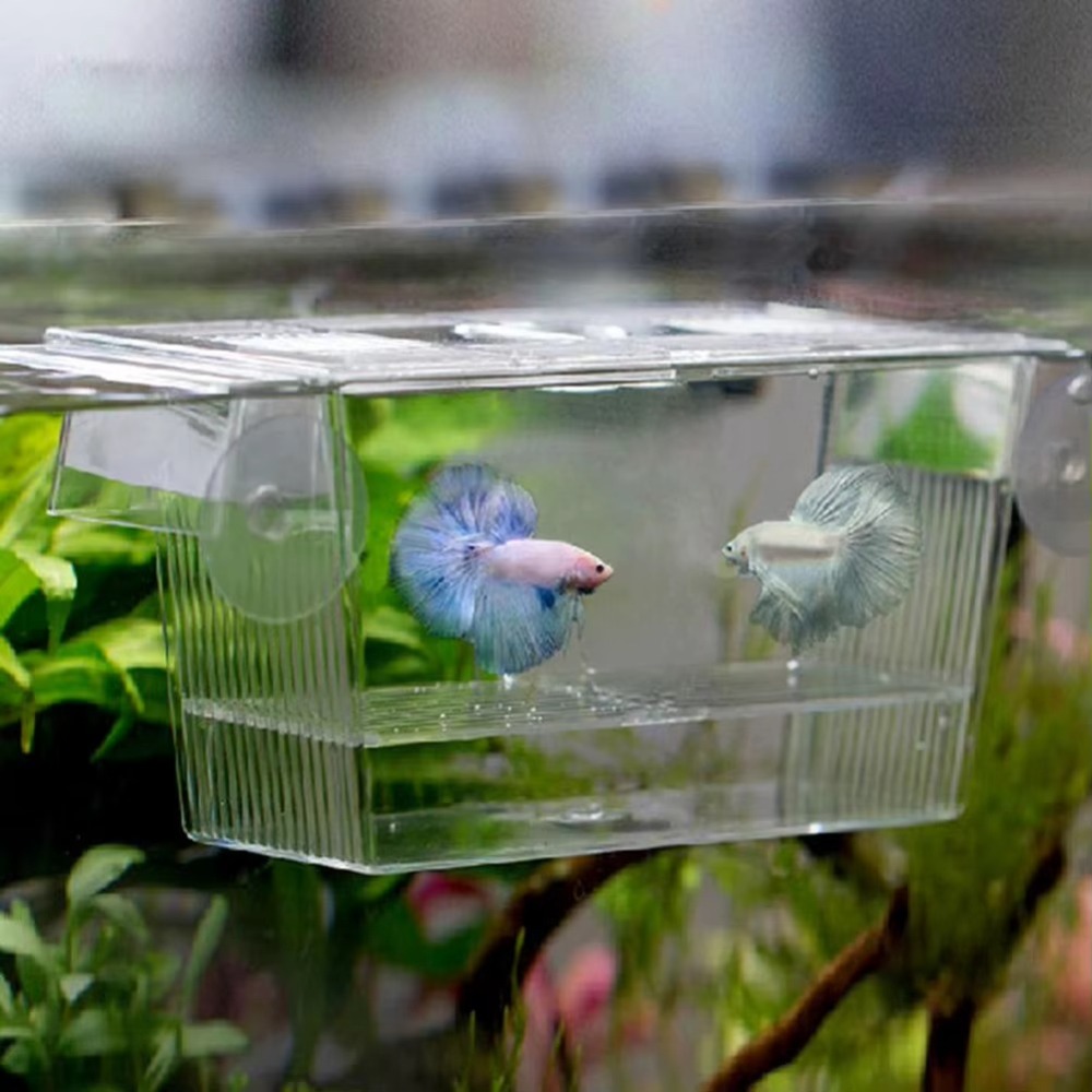 Creative Acrylic Fish Tank Bre - Aquarium Fish Reproduction recensie en prijs