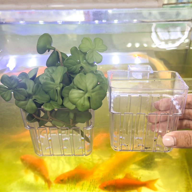 1/5pcs Aquarium Decoration Pla - Aquarium Fish Pot recensie en prijs