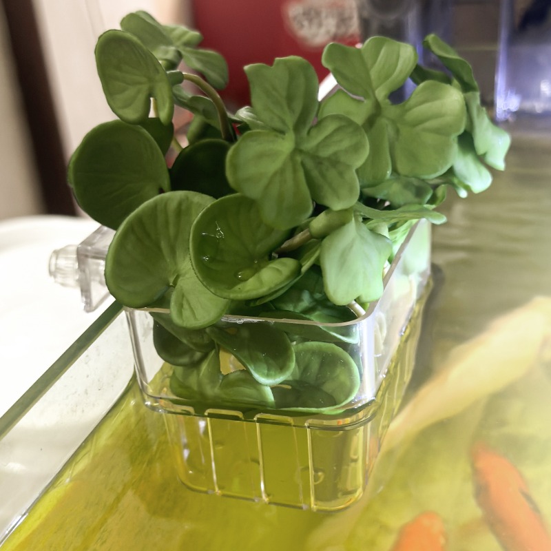 1/5pcs Aquarium Decoration Pla - Aquarium Fish Pot recensie en prijs