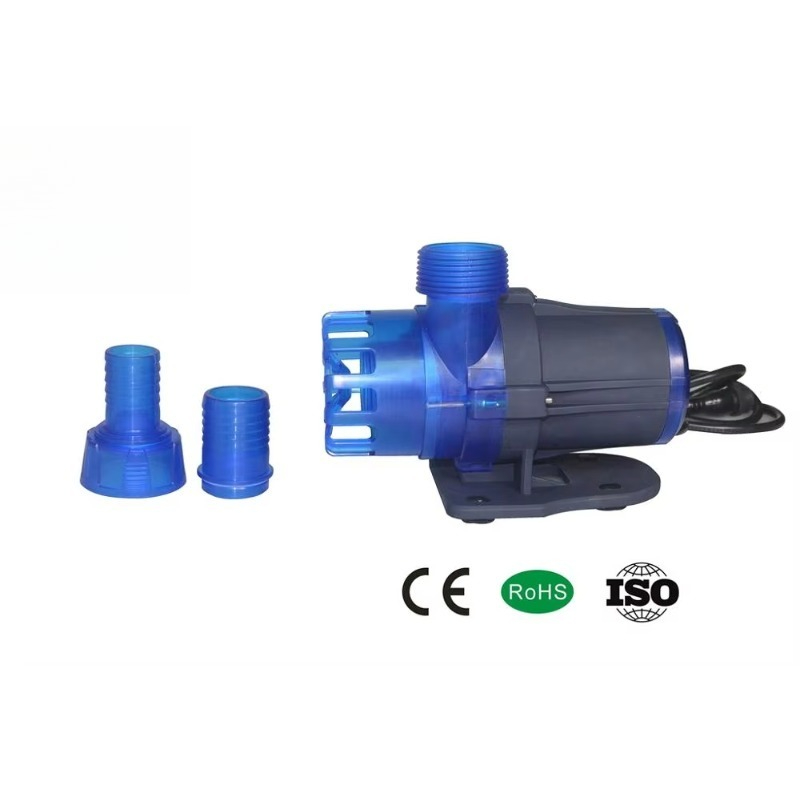 Hot Sale Extra Quiet Seawater  - Aquarium Fish For Sale recensie en prijs