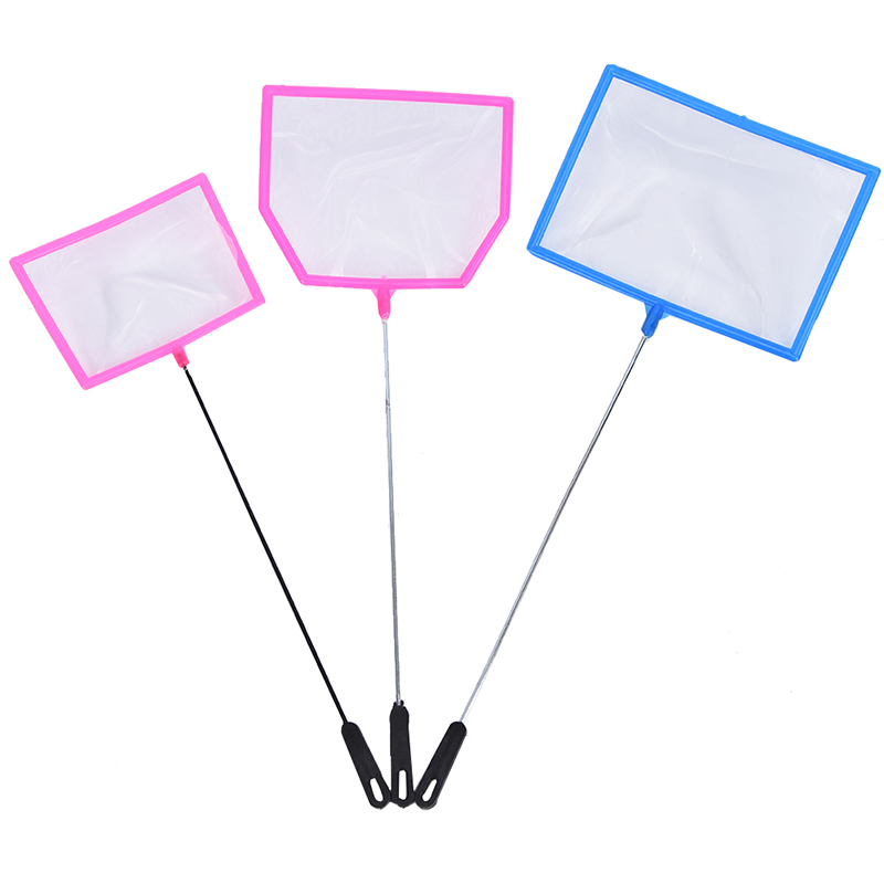 New Sale Practical Outdoor Fis - Aquarium Fish For Sale recensie en prijs