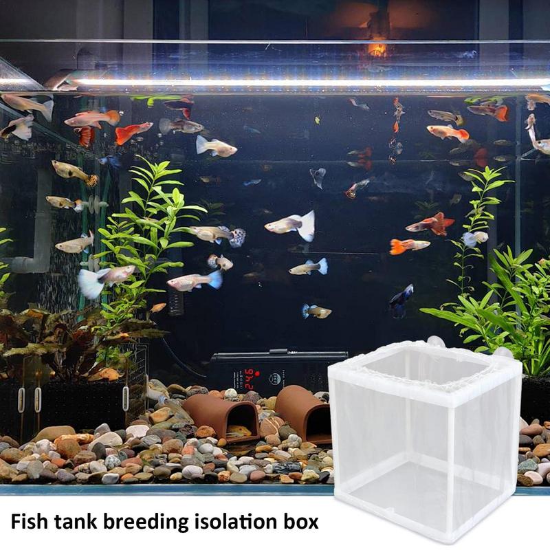 Fish Breeder Box with Suction, - Aquarium Fish For Sale recensie en prijs