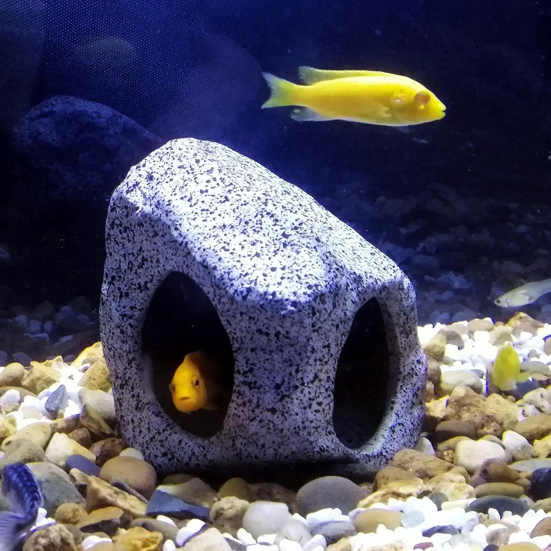 Fish Tank Cave Stone Landscapi - Aquarium Fish Games recensie en prijs