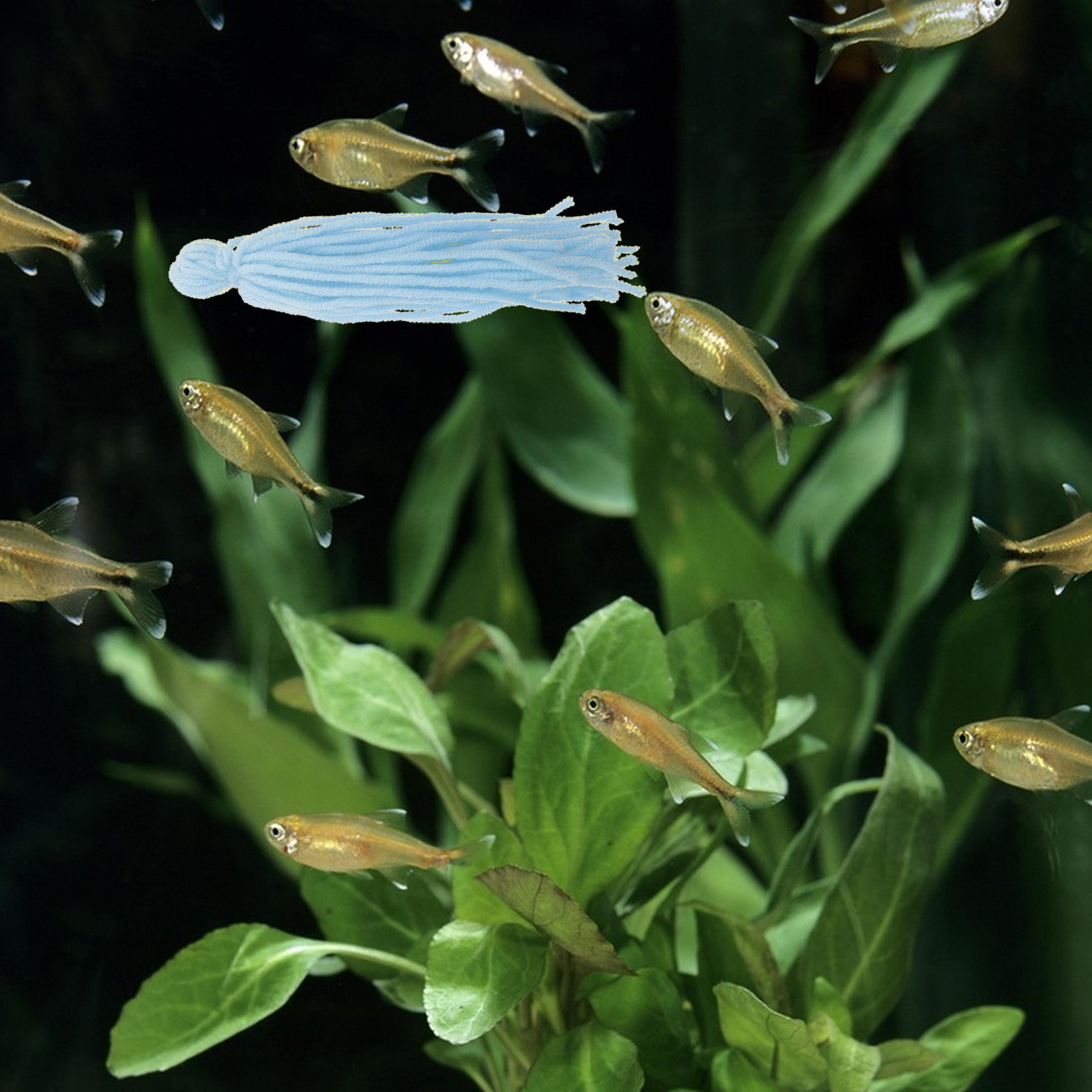 10Pcs Fish Breeding Mops Float - Aquarium Fish Reproduction recensie en prijs