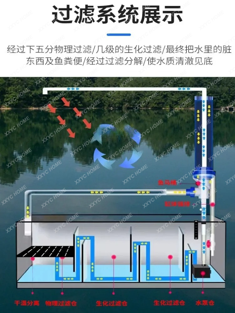 Living Room Floor Partition 2  - Aquarium Fish Long recensie en prijs