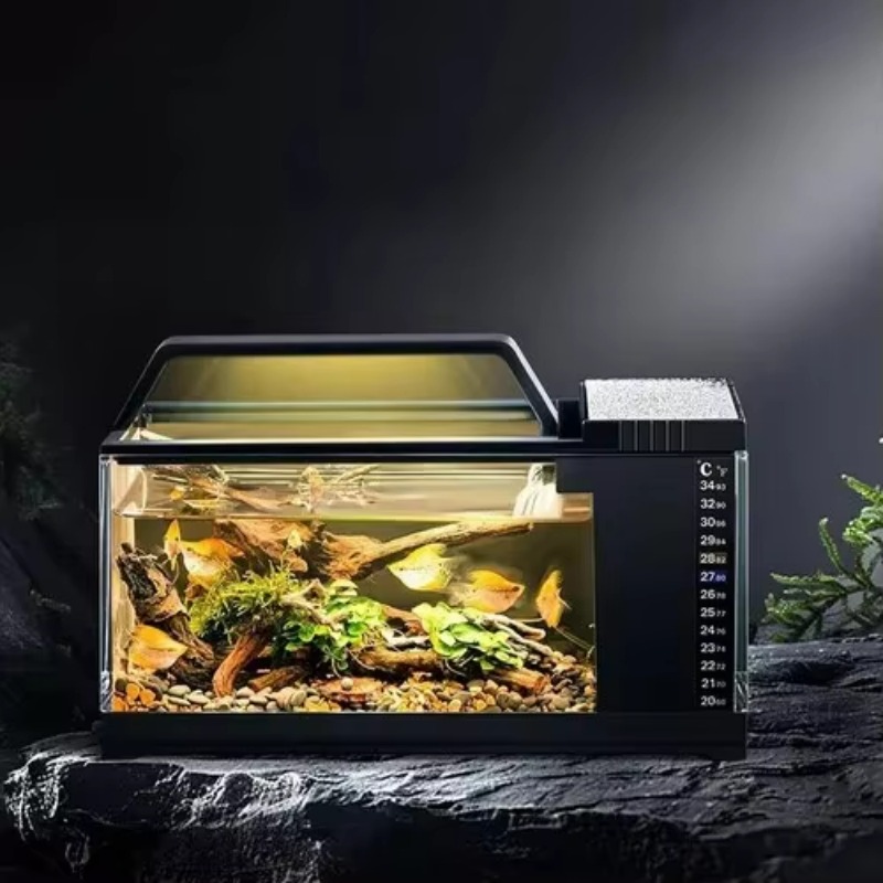 South American Style Aquarium  - Aquarium Fish Low Maintenance recensie en prijs