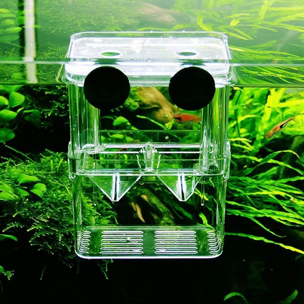 Multifunctional Aquarium Fish  - Aquarium Fish Reproduction recensie en prijs
