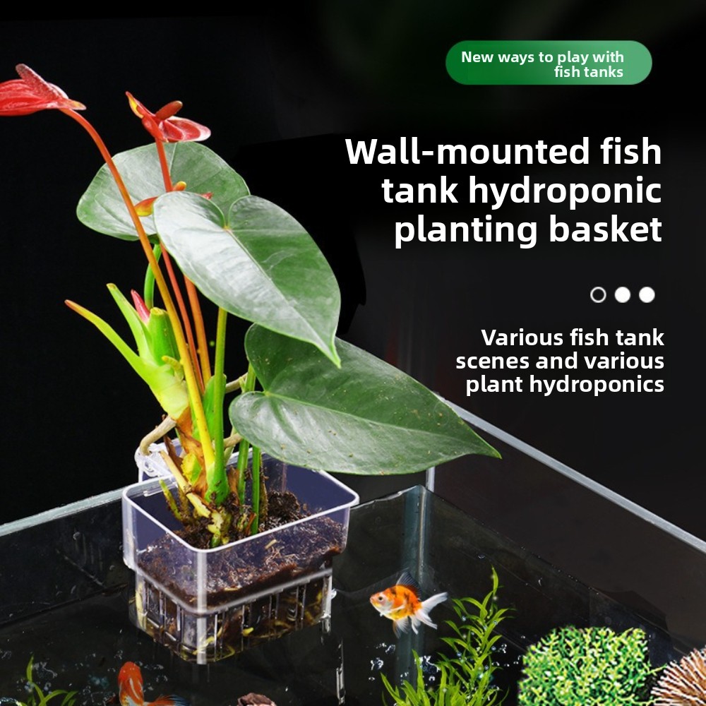 Aquarium Hydroponic Planting B - Aquarium Fish Pot recensie en prijs