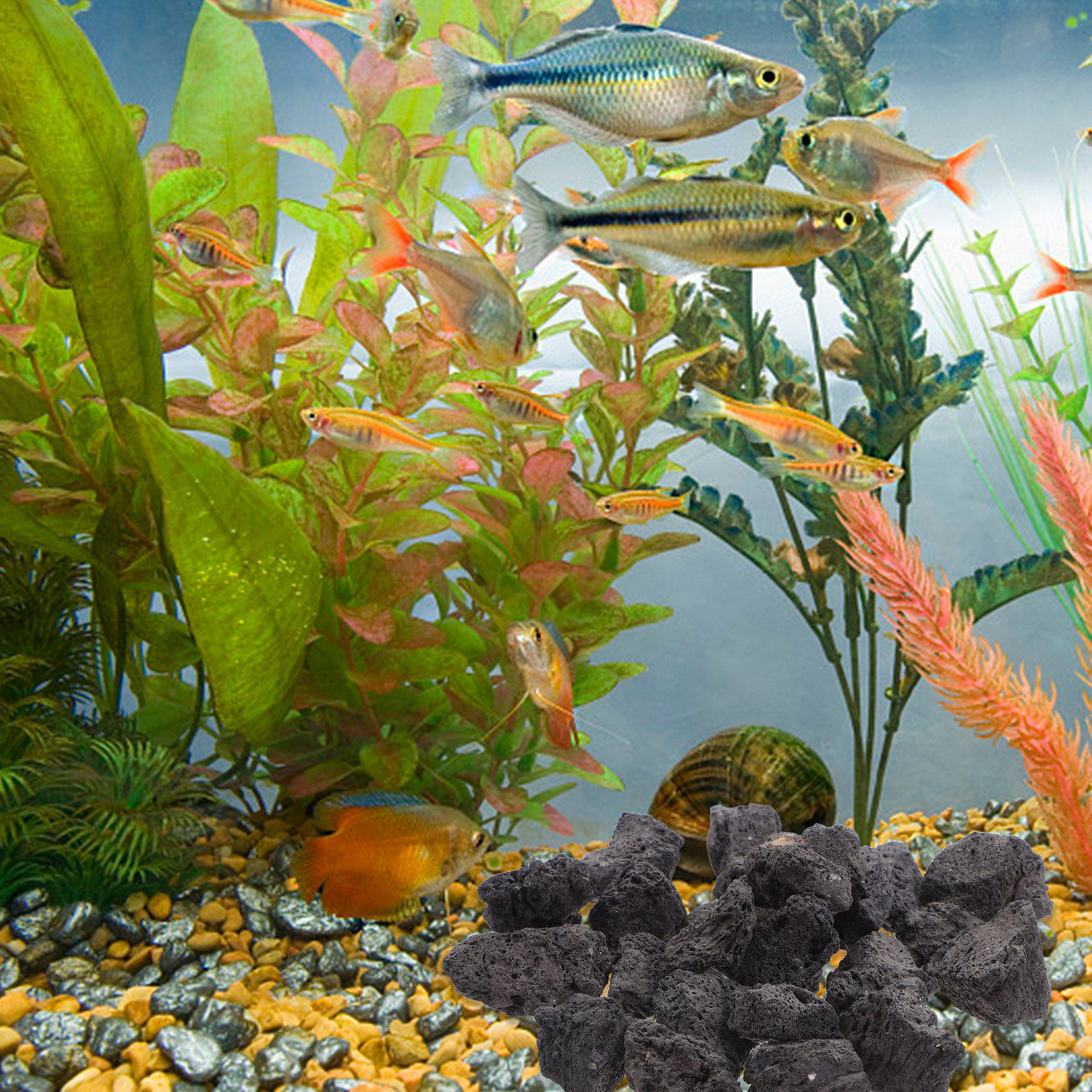 1Pack Volcanic Stone Fish Tank - Aquarium Fish Pot recensie en prijs