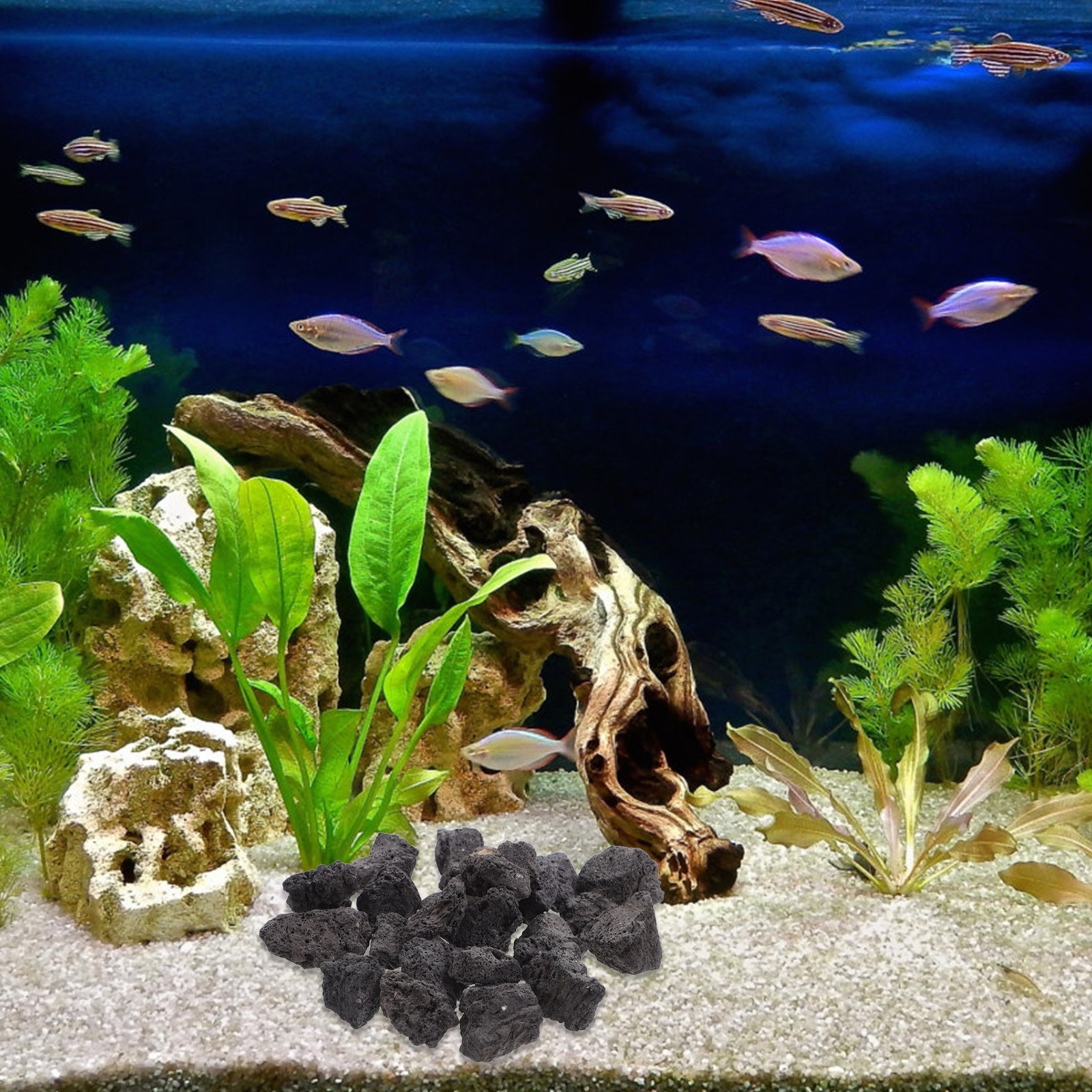 1Pack Volcanic Stone Fish Tank - Aquarium Fish Pot recensie en prijs