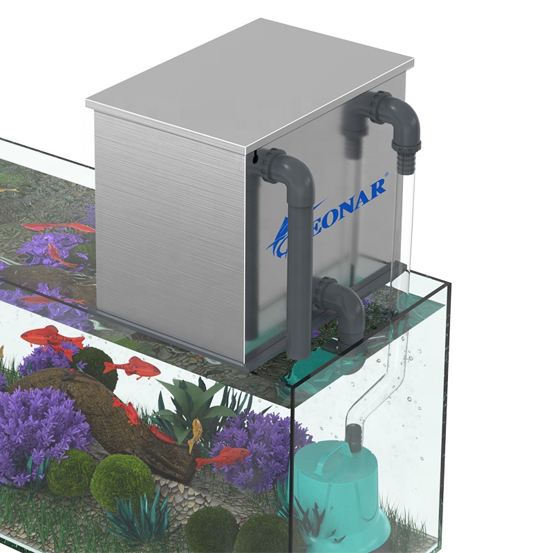 Factory Direct Sales Aquarium  - Aquarium Fish For Sale recensie en prijs