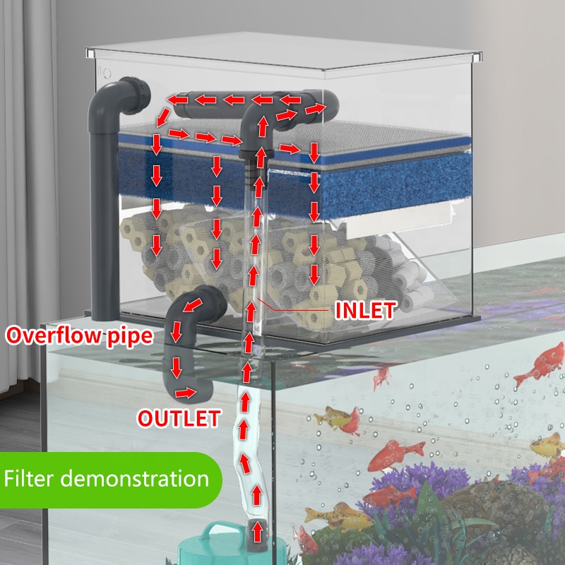 Factory Direct Sales Aquarium  - Aquarium Fish For Sale recensie en prijs