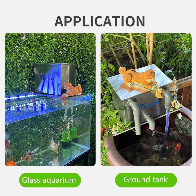 Factory Direct Sales Aquarium  - Aquarium Fish For Sale recensie en prijs